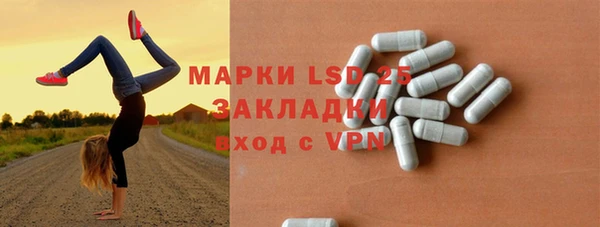 ГАЛЛЮЦИНОГЕННЫЕ ГРИБЫ Арсеньев