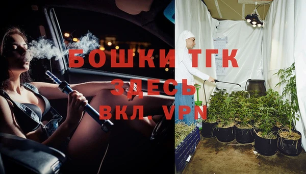 ГАЛЛЮЦИНОГЕННЫЕ ГРИБЫ Арсеньев