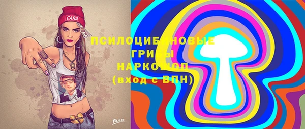 прущие грибы Алексин