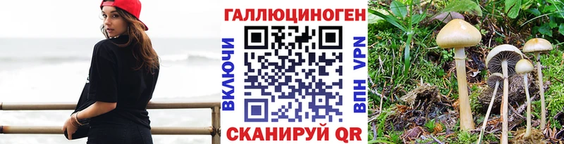 Псилоцибиновые грибы Magic Shrooms  где купить наркоту  Урюпинск 